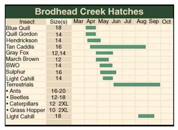 Kettle Creek Hatch Chart