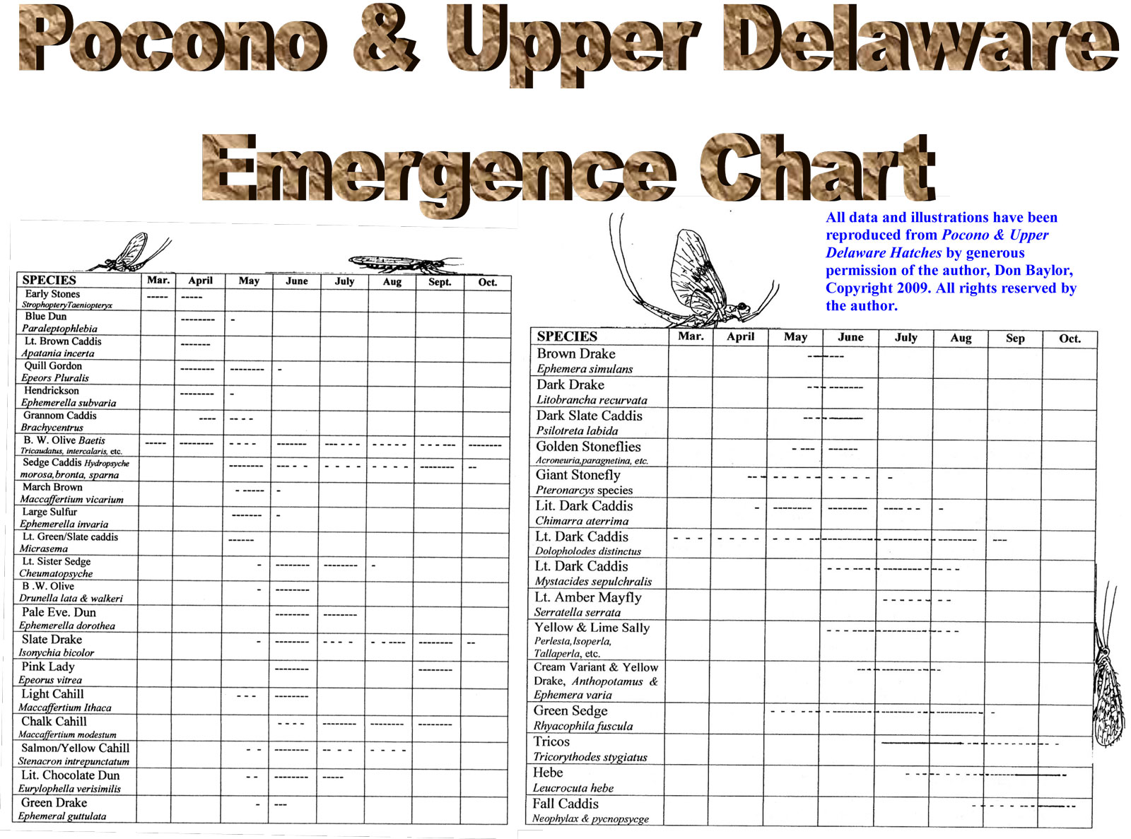 Beaverkill Hatch Chart