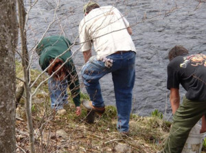 Volunteers planting seedlings.