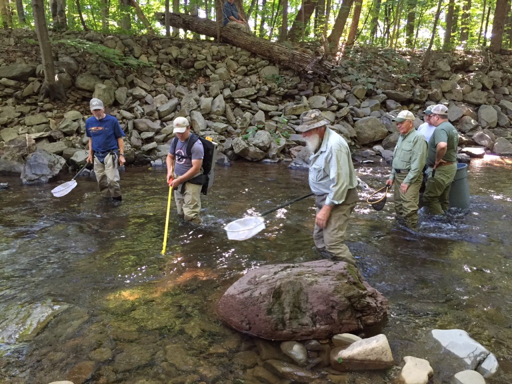 Pocono Creek Electrofishing