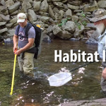 Pocono Creek Habitat Improvement Project