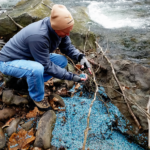 Pocono Creek Cleanup