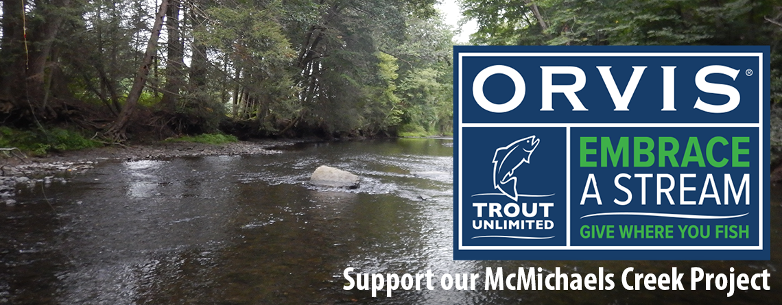 Trout Unlimited – Orvis Embrace A Stream Challenge from November 8-14 Benefits McMichaels Creek Project